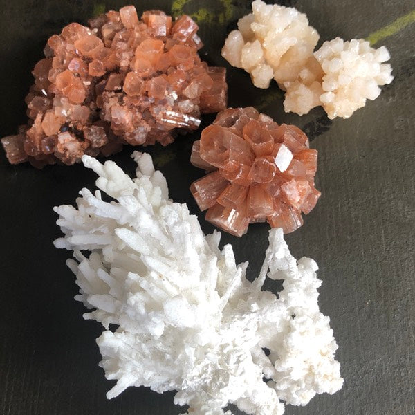 diverse Aragoniet Ruw mineralen bruin en witte kleuren