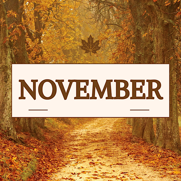 De maand november staat in het teken van loslaten, reflectie en innerlijke rust.