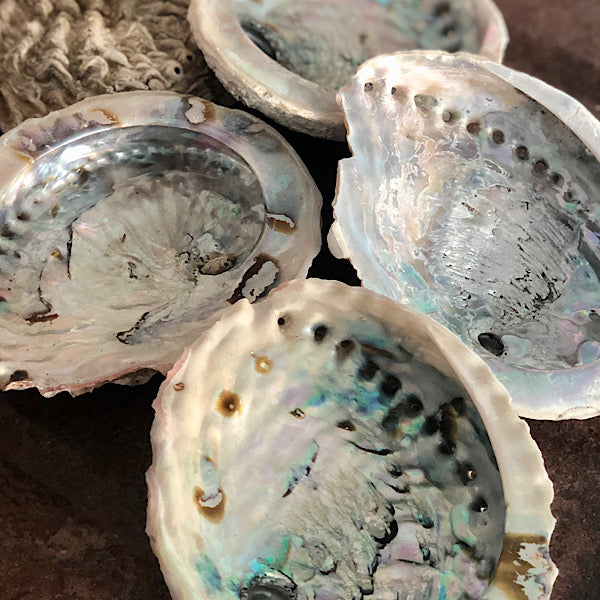 smudge abalone schelp wierook salie