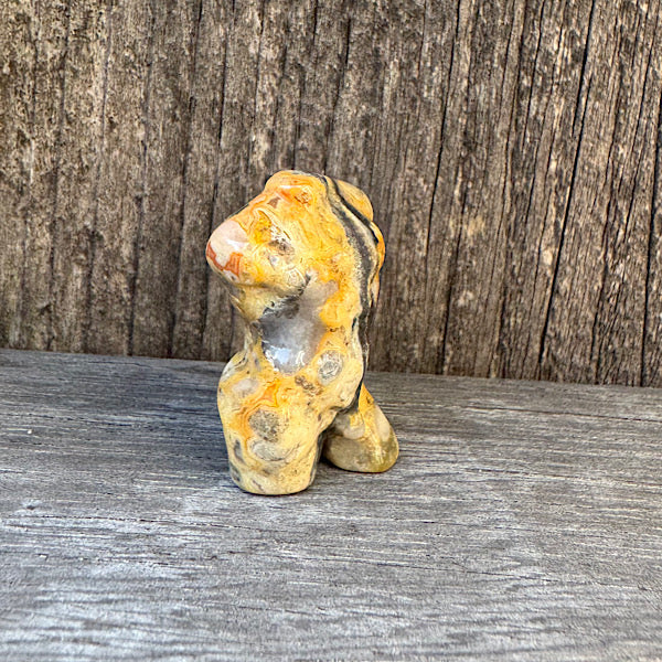 Agaat Crazy Lace mexicaans Heren Torso Klein gepolijst