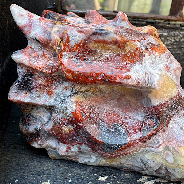 Agaat grazy lace draken schedel dragon skull