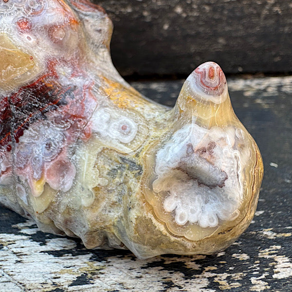 Agaat grazy lace draken schedel dragon skull