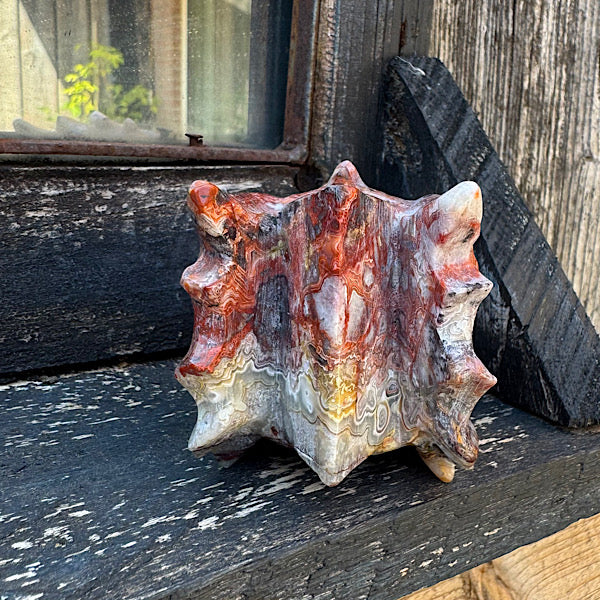 Agaat grazy lace draken schedel dragon skull