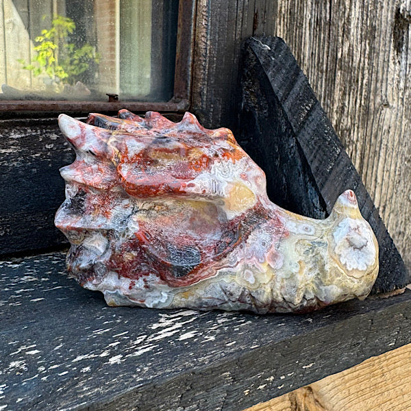 Agaat grazy lace draken schedel dragon skull