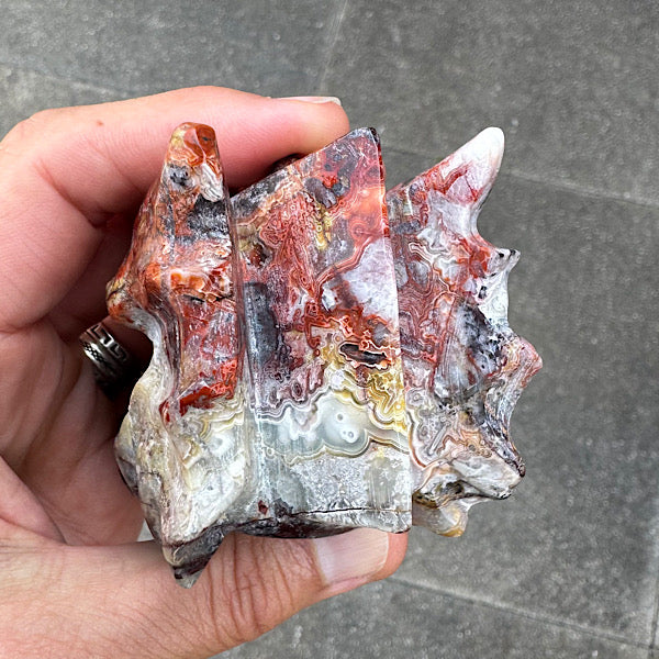 Agaat grazy lace draken schedel dragon skull