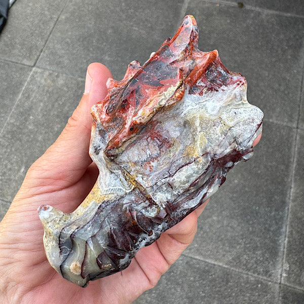 Agaat grazy lace draken schedel dragon skull