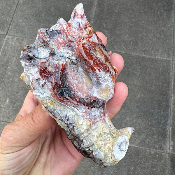 Agaat grazy lace draken schedel dragon skull