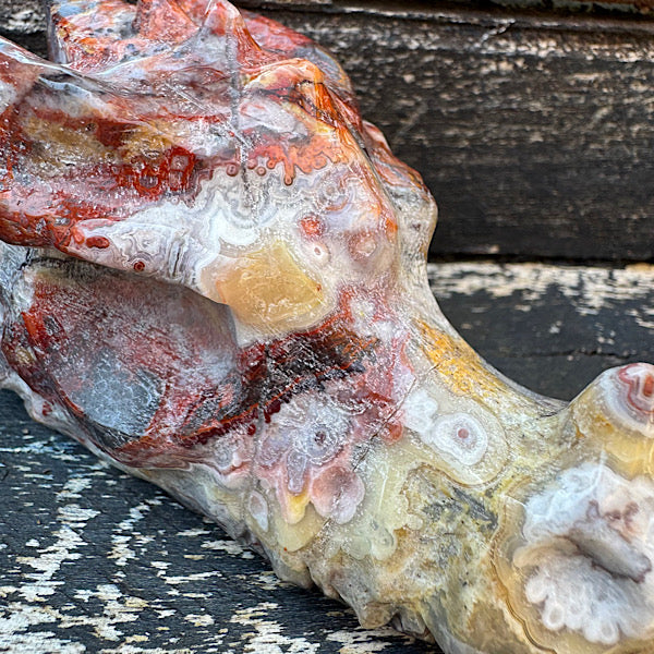 Agaat grazy lace draken schedel dragon skull