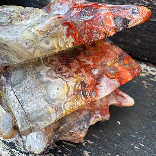 Agaat grazy lace draken schedel dragon skull