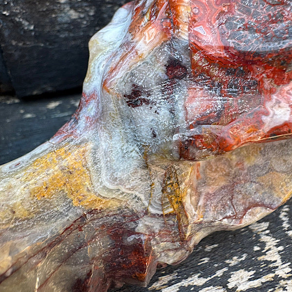 Agaat grazy lace draken schedel dragon skull