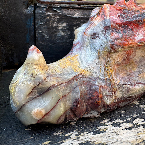 Agaat grazy lace draken schedel dragon skull