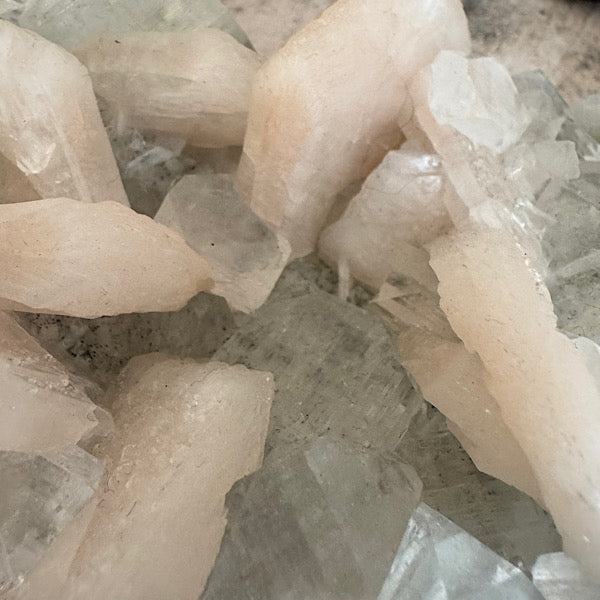 Apofyliet met Stilbiet gekristalliseerd India groen roze