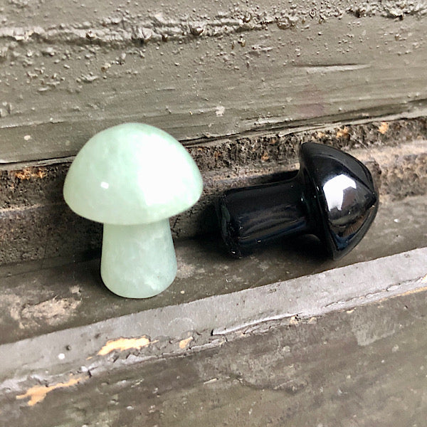 Aventurijn en Obsidiaan Kleine Paddestoel Koppeltje figuren paddenstoel gepolijst verzamel