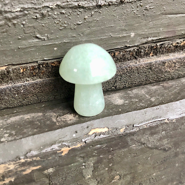 Aventurijn en Obsidiaan Kleine Paddestoel Koppeltje figuren paddenstoel gepolijst verzamel
