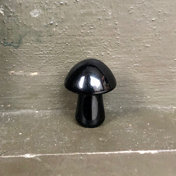 obsidiaan zwart paddestoel