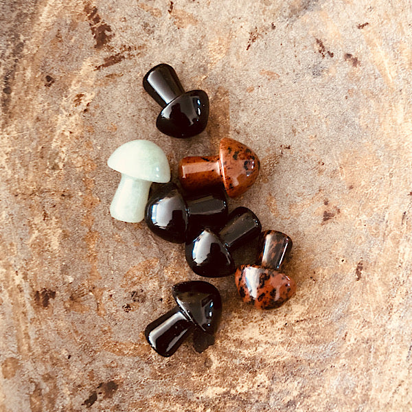 aventurijn Obsidiaan Kleine Paddestoel gepolijst 1