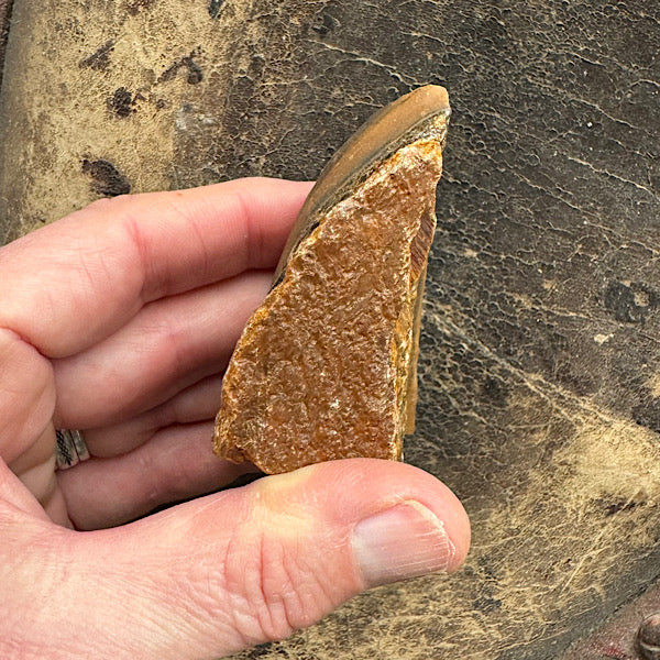 Brokje TijgerOog Ruw C Brazilië kattenoog effect