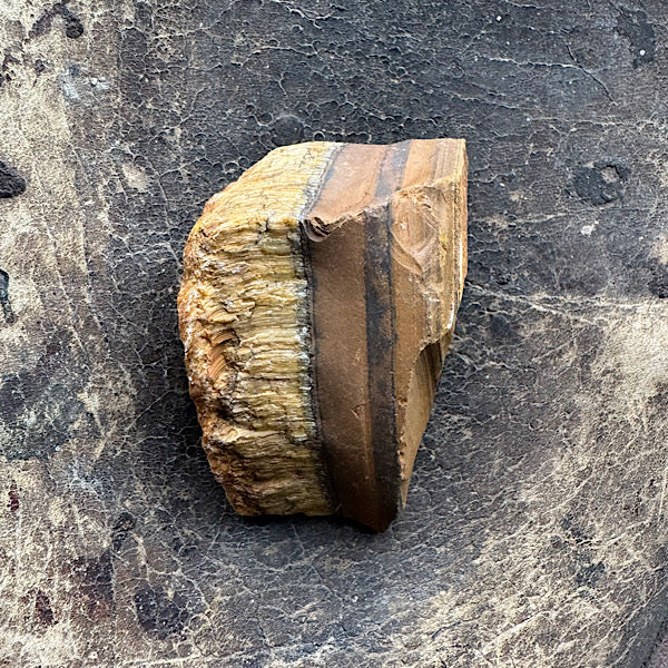 Brokje TijgerOog Ruw C Brazilië kattenoog effect