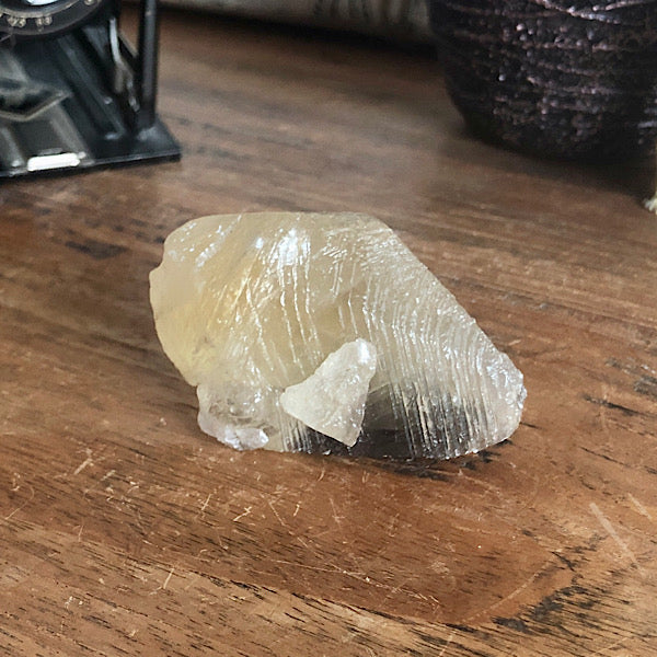 Punt Calciet DogTooth