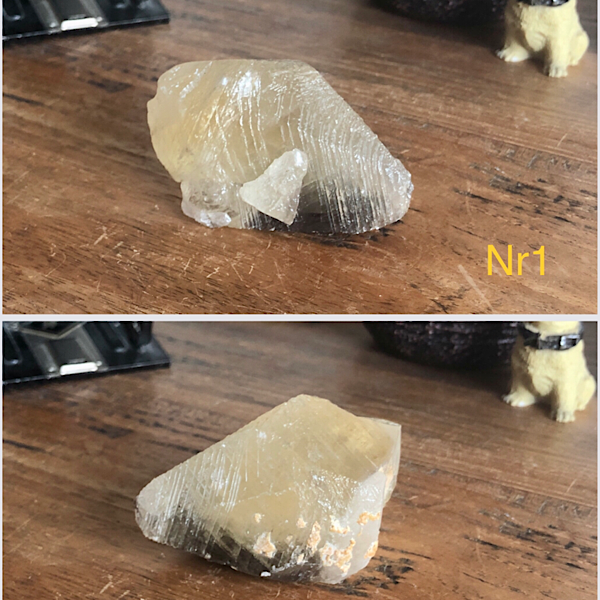 Calciet DogTooth Punten 9 stuks nr1