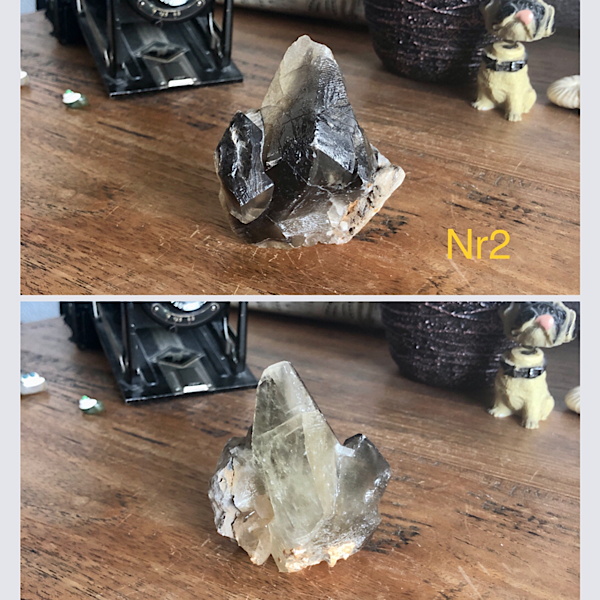 Calciet DogTooth Punten 9 stuks nr2