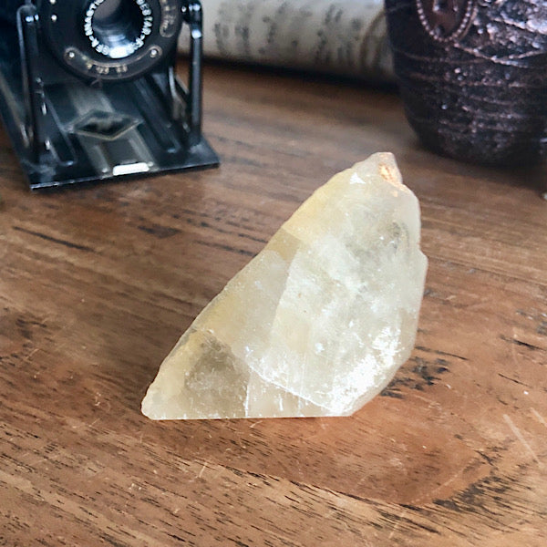 Punt Calciet DogTooth