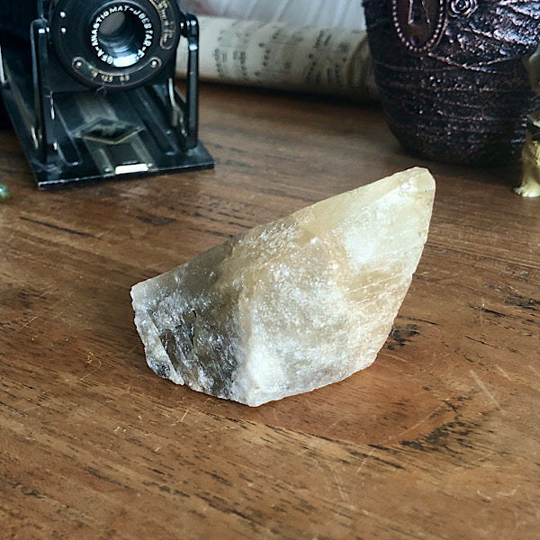 Punt Calciet DogTooth