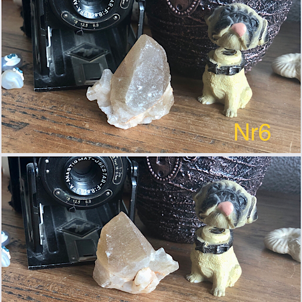 Punt Calciet DogTooth