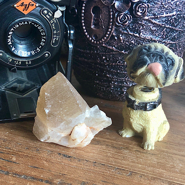 Punt Calciet DogTooth