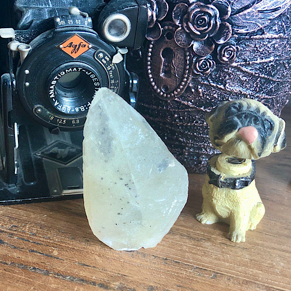 Punt Calciet DogTooth