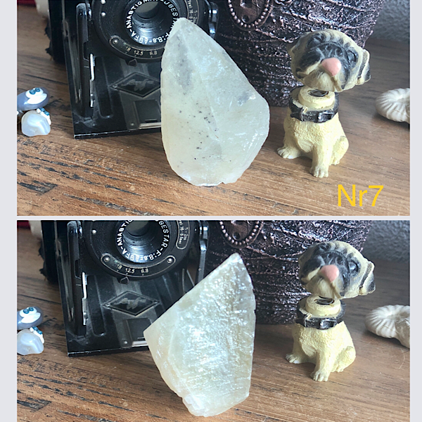 Calciet DogTooth Punten 9 stuks nr7