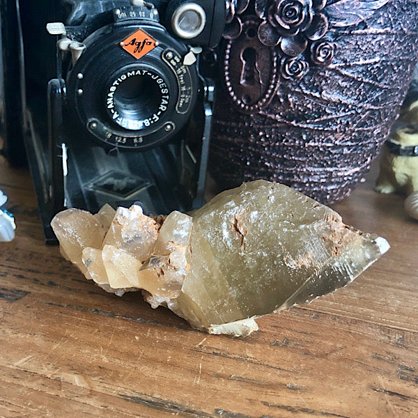 Punt Calciet DogTooth