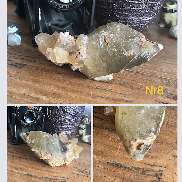 Punt Calciet DogTooth