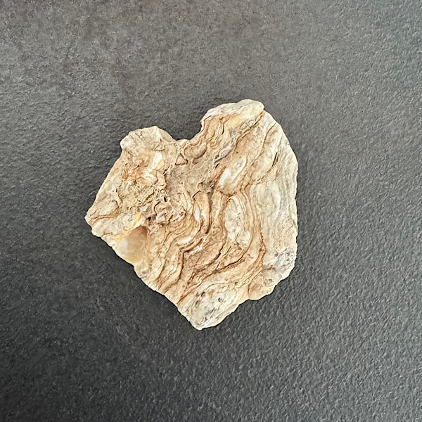 Chalcedoon Ruw Rozet jaspis agaat carneool