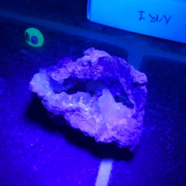 Chalcedoon met Fluoriet Ruw Stukje mineralen kristallen edelstenen