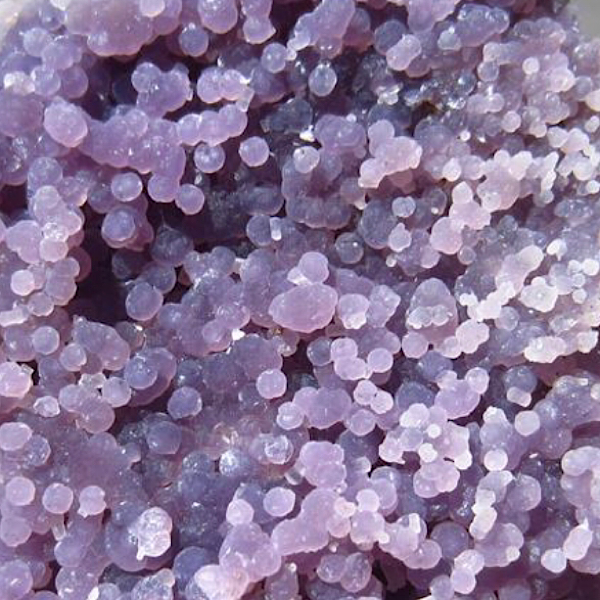 Prehniet Ruw Donker Groen de schatkamer gekristaliseerd mineralen kristallen uniek