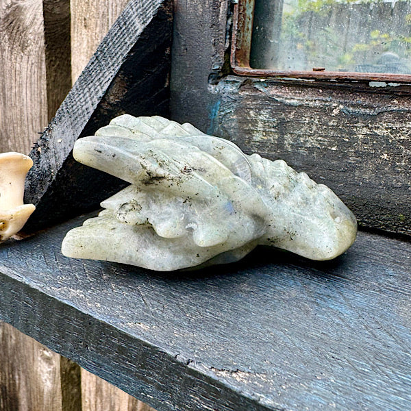 Draken Schedel Labradoriet dragon skull edelstenen mineralen winkel