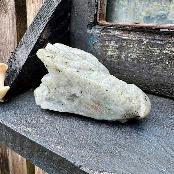 Draken Schedel Labradoriet dragon skull edelstenen mineralen winkel