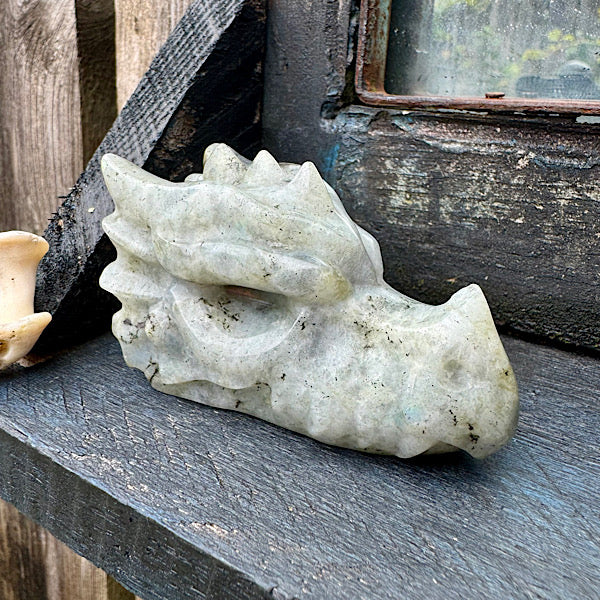 Draken Schedel Labradoriet dragon skull edelstenen mineralen winkel