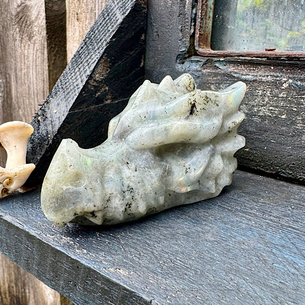 Draken Schedel Labradoriet dragon skull edelstenen mineralen winkel