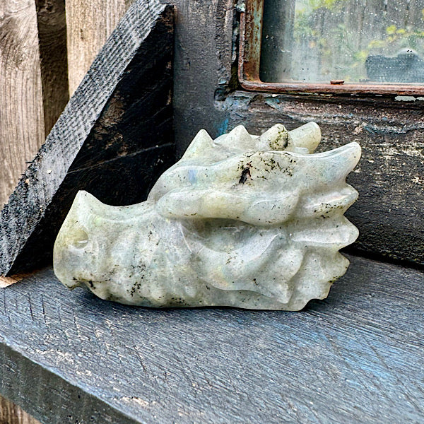 Draken Schedel Labradoriet dragon skull edelstenen mineralen winkel