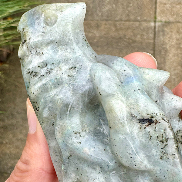 Draken Schedel Labradoriet dragon skull edelstenen mineralen winkel