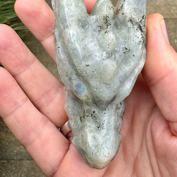 Draken Schedel Labradoriet dragon skull edelstenen mineralen winkel