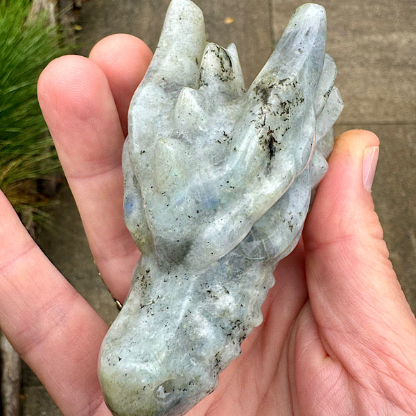 Draken Schedel Labradoriet dragon skull edelstenen mineralen winkel