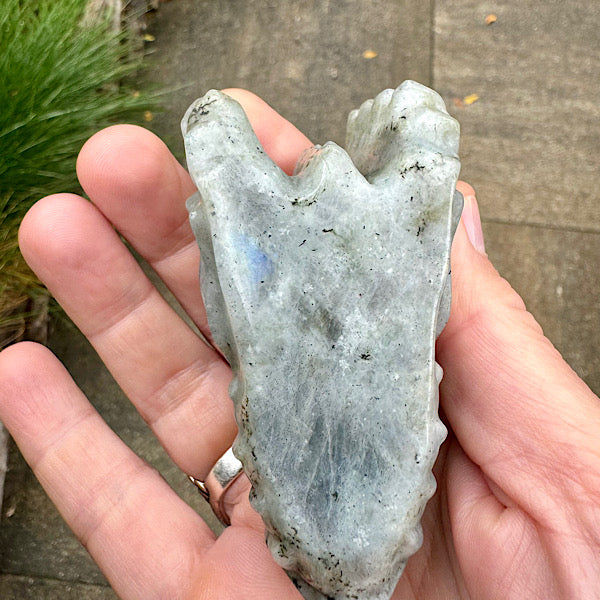 Draken Schedel Labradoriet dragon skull edelstenen mineralen winkel