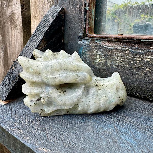 Draken Schedel Labradoriet dragon skull edelstenen mineralen winkel