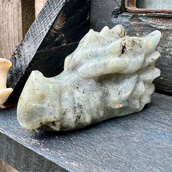 Draken Schedel Labradoriet dragon skull edelstenen mineralen winkel