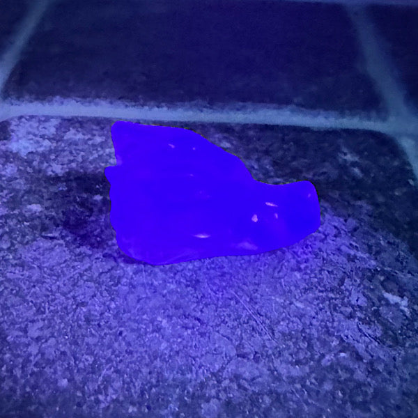 Fluoriet Klein Draken Schedel dragon skull