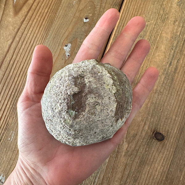 Geode Dugway Agaat Thunder Egg 1 Utah USA