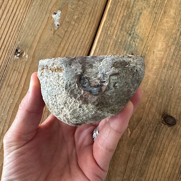 Geode Dugway Agaat Thunder Egg 1 Utah USA